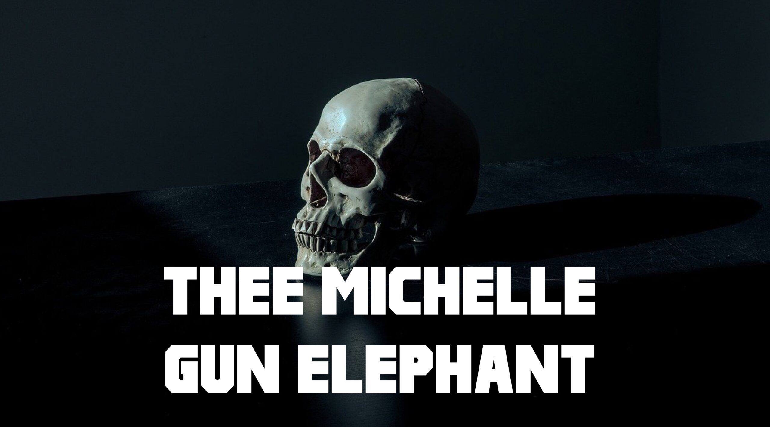 Thee Michelle Gun Elephantおすすめ人気曲 アルバム別 インテグラルライフ ログ