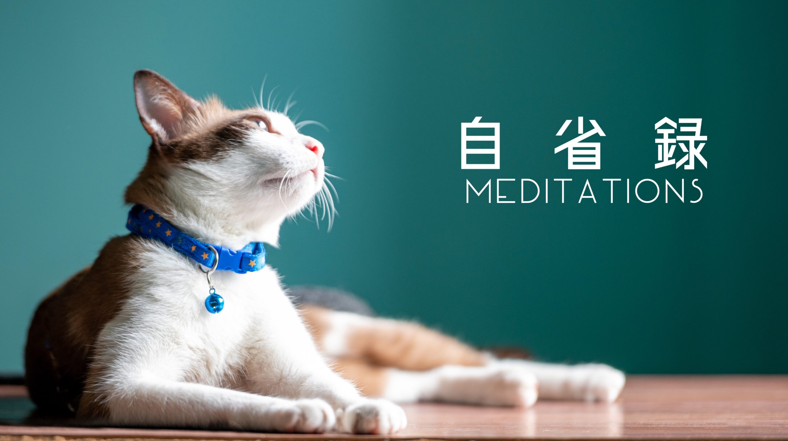 自省録 名言集 あらすじ 読み方もわかりやすく解説 カジドク 家事と読書